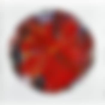 Circle Spin Painting (Created at Damien Hirst Spin Workshop) (preview)