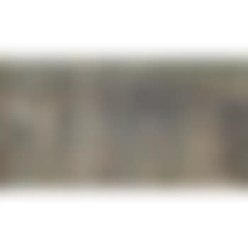 Anaconda (preview)