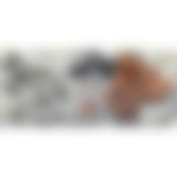 Seafood (preview)