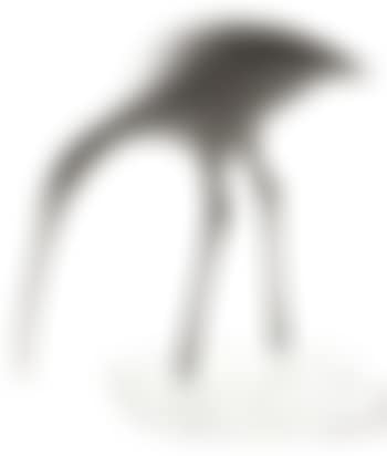 Oiseau (preview)