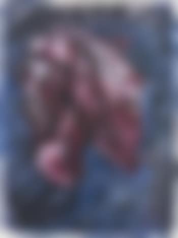 Beef Heart (preview)