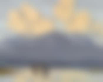 The Fishing Fleet, County Galway (preview)
