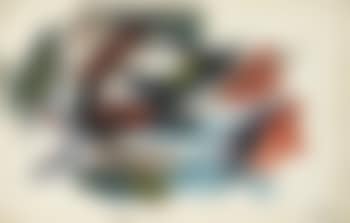 Composition (preview)