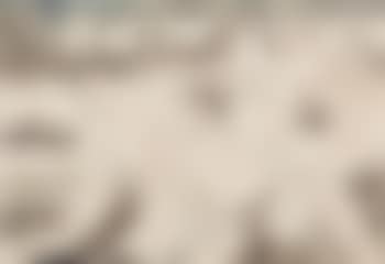 La Fuite (preview)