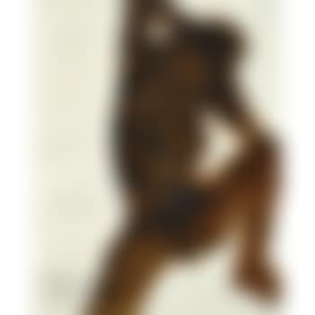 Untitled (Life model, Stanford) (preview)