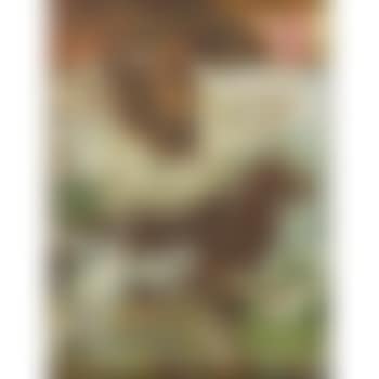 Old Dog Tiny (preview)
