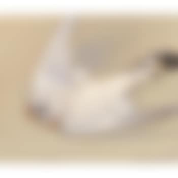 Hawk (preview)