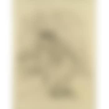 Polin, from Portraits d'Acteurs et d'Actrices, Treize Lithographies (Wittrock 261, Adriani 269) (preview)