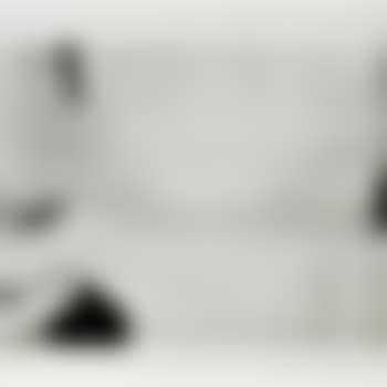 Plate d, from Studies for Holograms (preview)