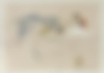 Paesaggi (preview)