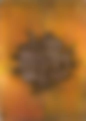 Gli auguri di buon anno (preview)