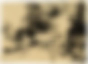 Schleppdampfer (preview)