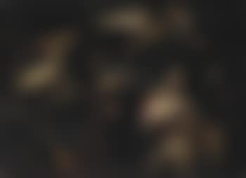 The Adoration of the Shepherds (preview)