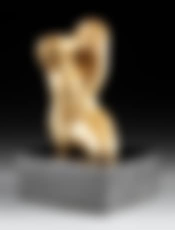 Torso (preview)