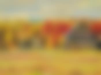 Farm at Bells Rapid, Ont. (preview)