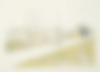 Le Jardin des Tuileries (preview)