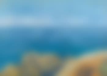 Sea (preview)