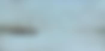 Starboard light (preview)
