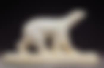 Ours blanc (preview)