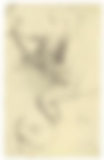 Konvolut Von Sieben Skizzen (preview)