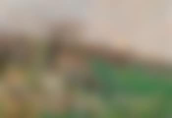 ‘Schleedorn von Tolcsva’ (preview)