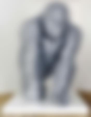 Silver Back (preview)