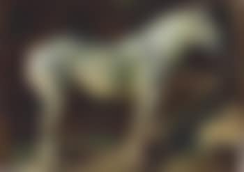 A Percheron, in a Stable (preview)