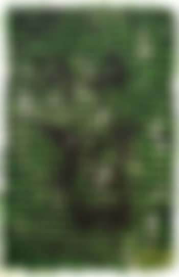 Grunes Tuch (preview)