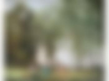 A picnic party at the edge of a wood (preview)