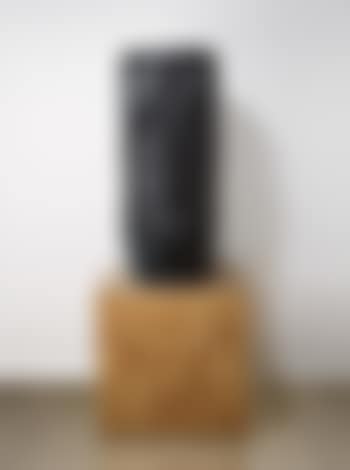Torso (preview)