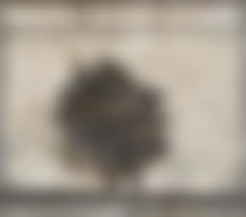 Schwarzer Diamant (preview)