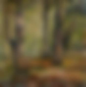 Waldspaziergang (preview)