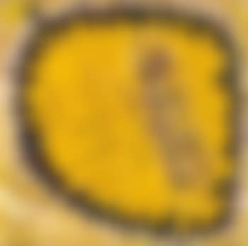 ‘Wegsteherkreis’ (preview)