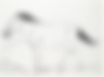 Mongolian Wild Horse (Study for Vanishing Animals) 1986 (preview)