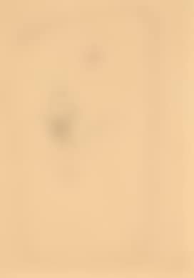 Concetto spaziale (preview)