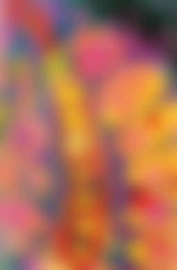 Stamen (preview)