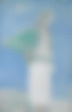 ‘Grüne Weste’ (preview)