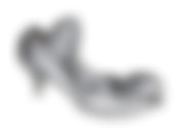 ‘Silver Shoe’ (preview)
