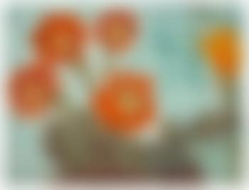 Kakteen Mit Roten Blüten (preview)