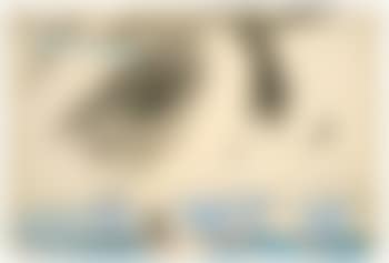 The Cloud (preview)