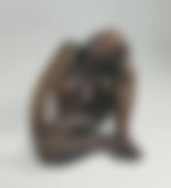 Hockende (preview)