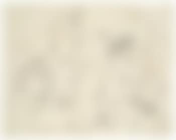 Allegorie (preview)