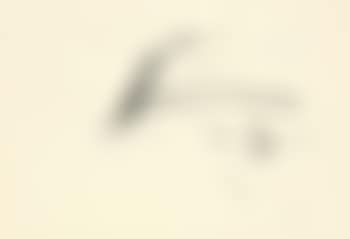 Ohne Titel (preview)