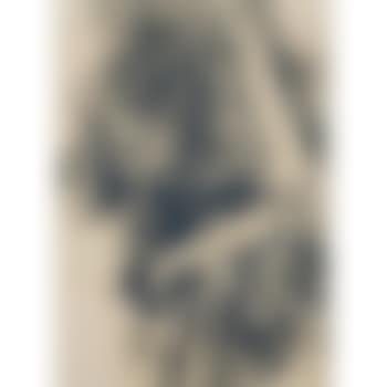 Verschleierte Frau (preview)