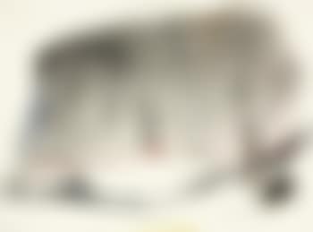 Ohne Titel (preview)