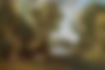 Fauns in a wooded landscape (preview)