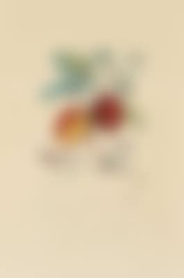 Pomme dragon (preview)