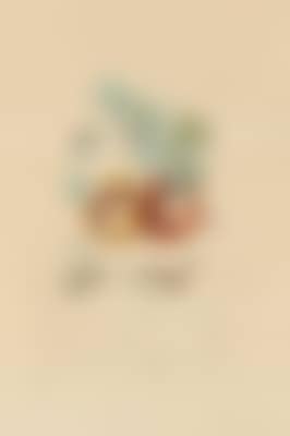 Fruits troués (preview)