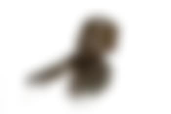 Baby with outstretched arms (preview)