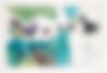 No Title (preview)